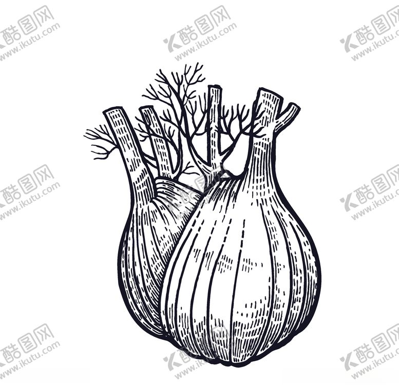 编号：11743007080134299224【酷图网】源文件下载-蔬菜