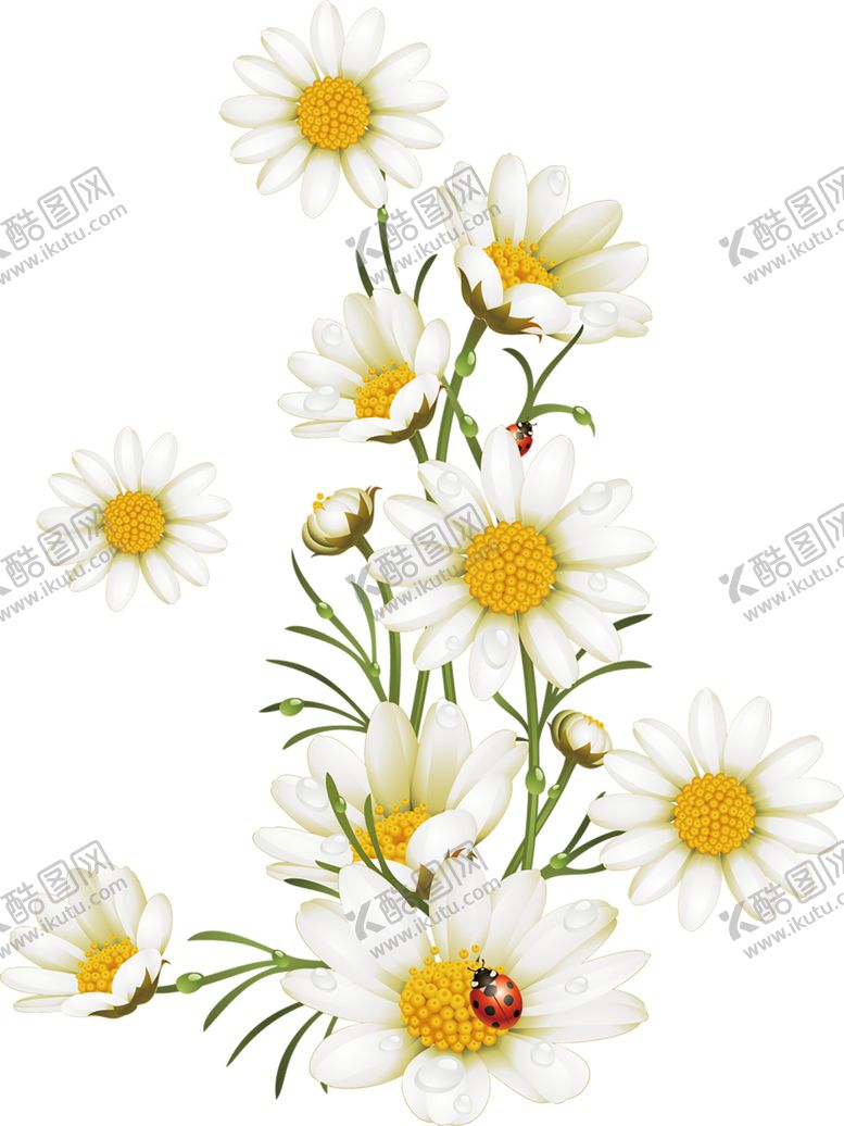 编号：30871706282011448301【酷图网】源文件下载-鲜花素材