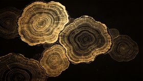 金色圆形纹理艺术图案