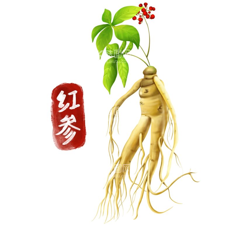 编号：31068412061840231072【酷图网】源文件下载-植物