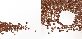 逼真咖啡豆插画