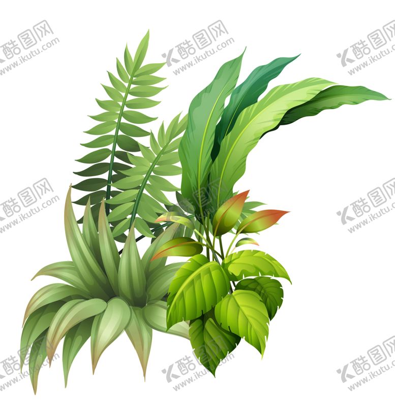 编号：99943007070406298460【酷图网】源文件下载-绿色相框