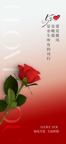 520海报图片单图