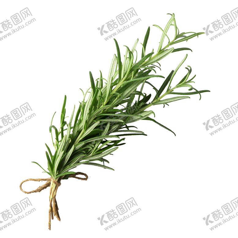 编号：30629006290720461964【酷图网】源文件下载-绿色装饰