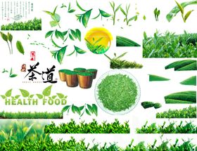 高清素材 茶叶 