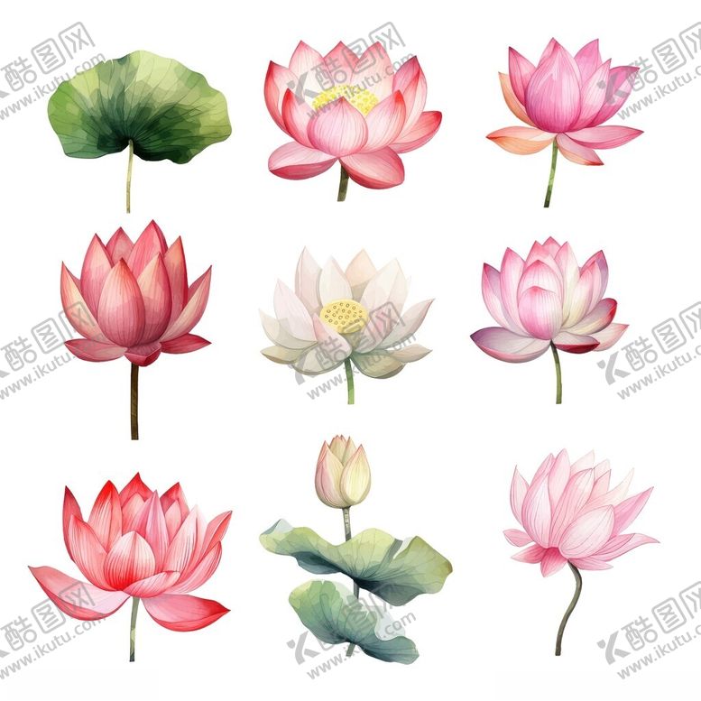 编号：21938011142355143546【酷图网】源文件下载-水彩荷花荷叶插画素材