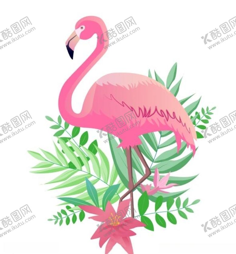 编号：60532909281715451755【酷图网】源文件下载-火烈鸟