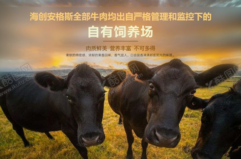 编号：35139705011020253803【酷图网】源文件下载-美食