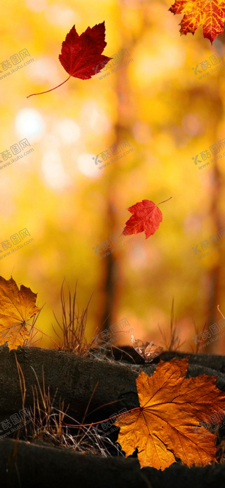 编号：27236509291544437692【酷图网】源文件下载-手机壁纸