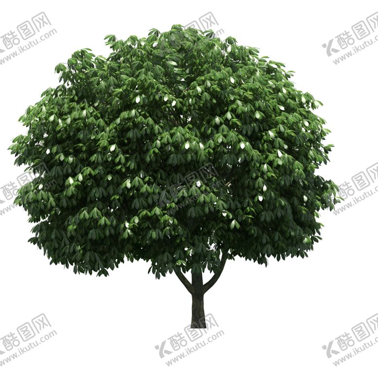 编号：63149210020846103788【酷图网】源文件下载-景观树