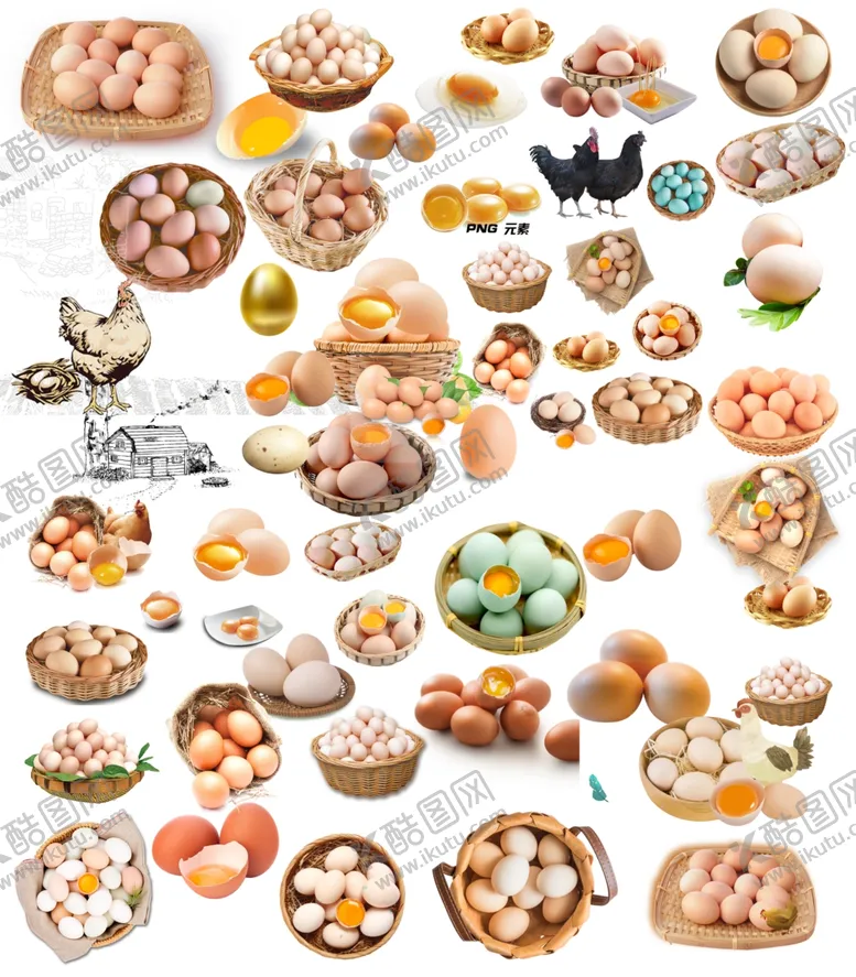 编号：35112009280703497750【酷图网】源文件下载-鸡蛋