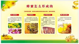 蜂蜜养生功效介绍