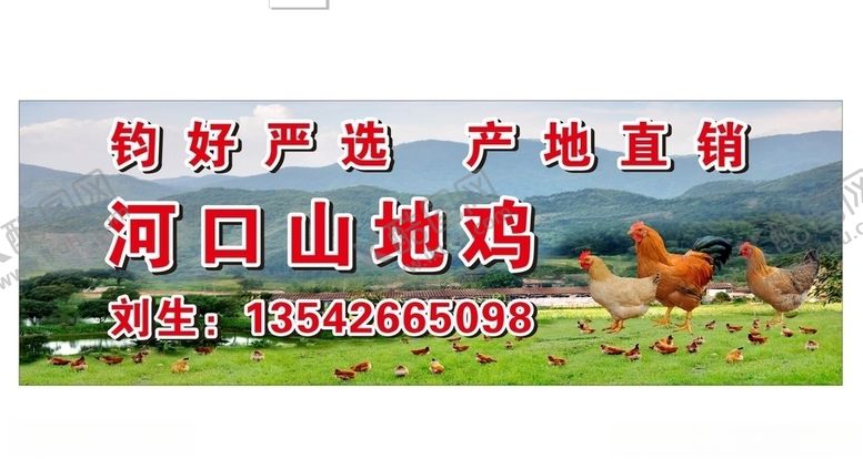 编号：76495209200006297574【酷图网】源文件下载-山地鸡