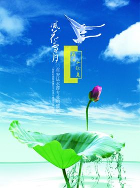 荷叶天空复古高档宣传精美海报