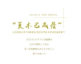 字体排版