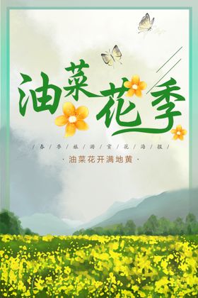 油菜花开