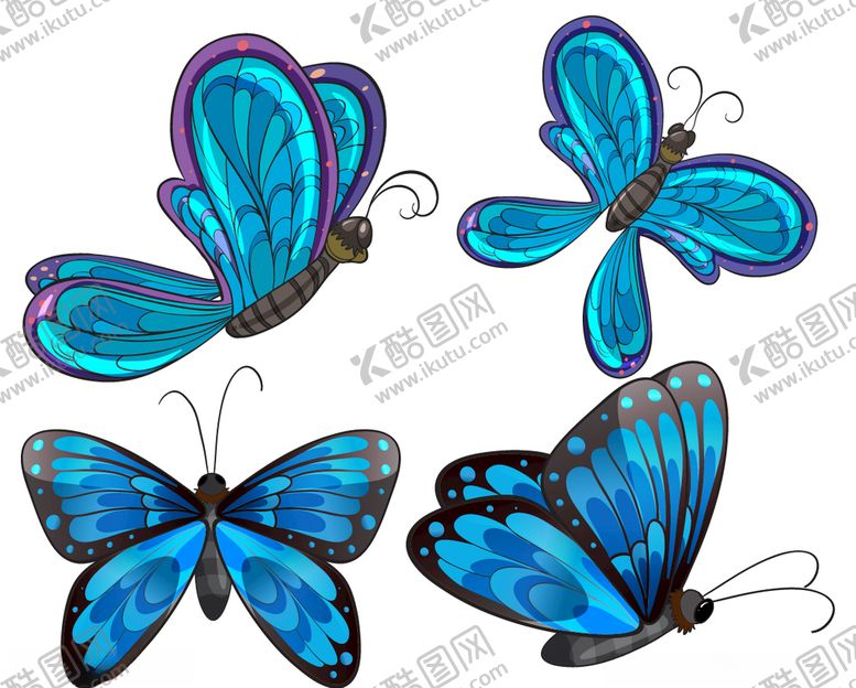 编号：67165310300158009077【酷图网】源文件下载-蝴蝶昆虫动物