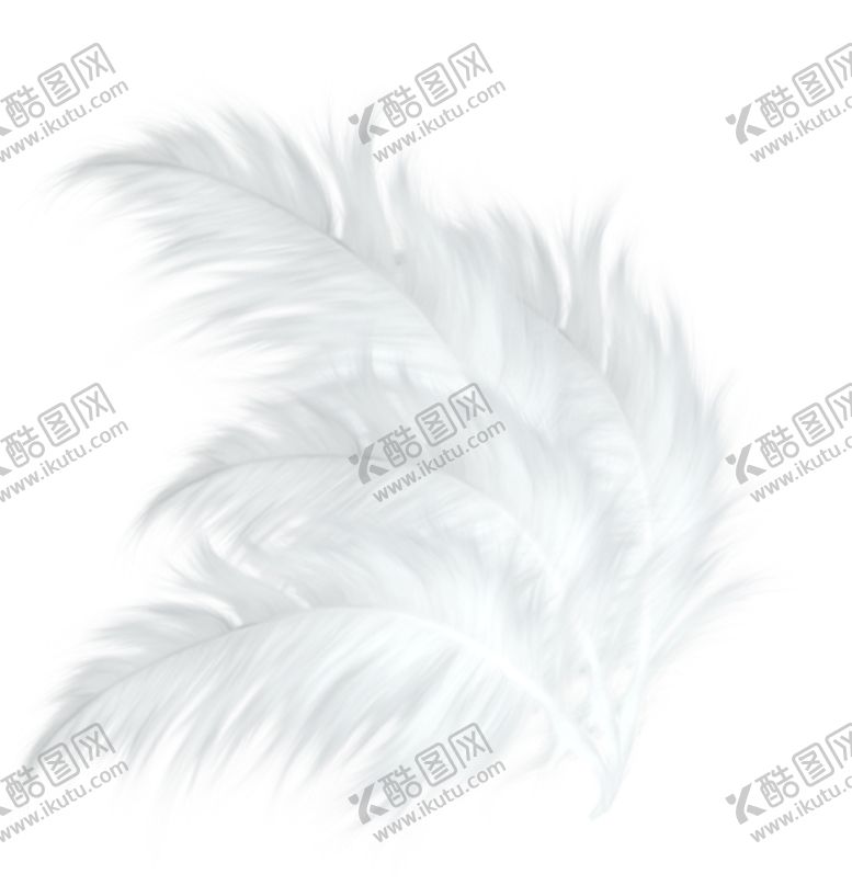 编号：28263610121601381654【酷图网】源文件下载-羽毛素材