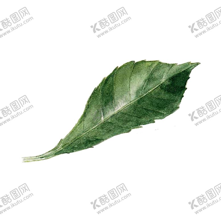 编号：41364506151432586524【酷图网】源文件下载-绿色相框