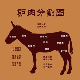 驴肉分割图