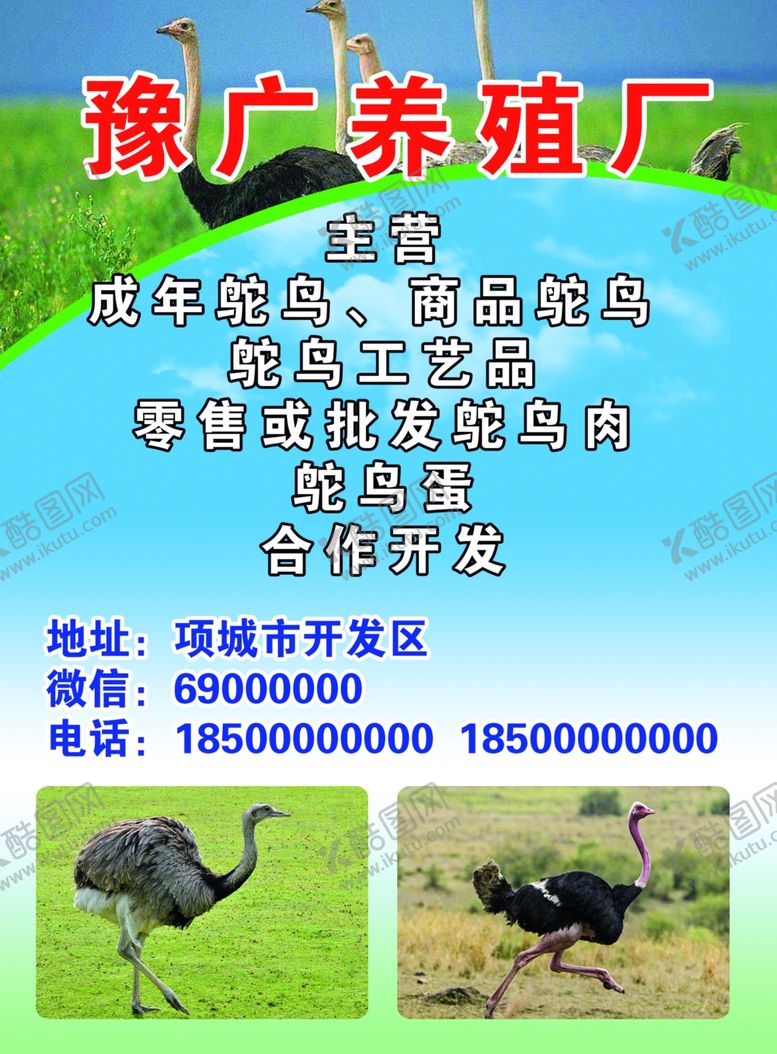 编号：93476002092328189390【酷图网】源文件下载-鸵鸟养殖养殖厂