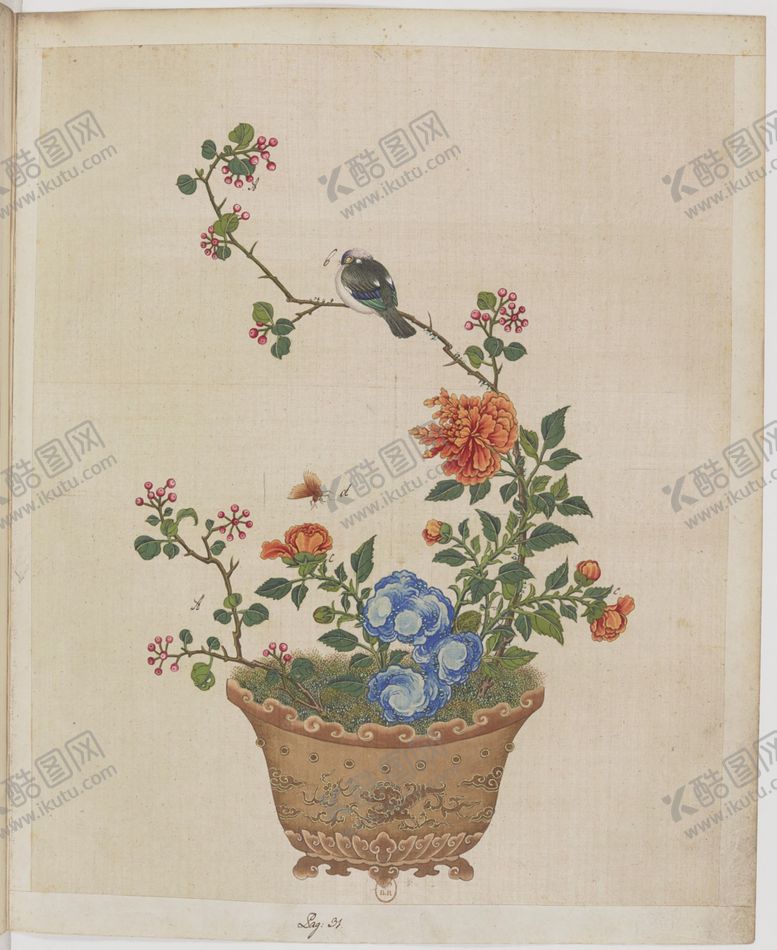 编号：48261804161727421280【酷图网】源文件下载-盆景花鸟