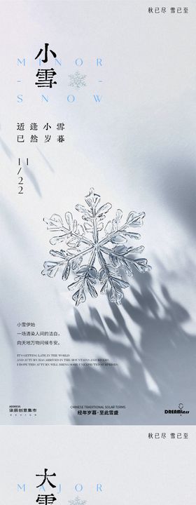 小雪大雪简约雪花海报