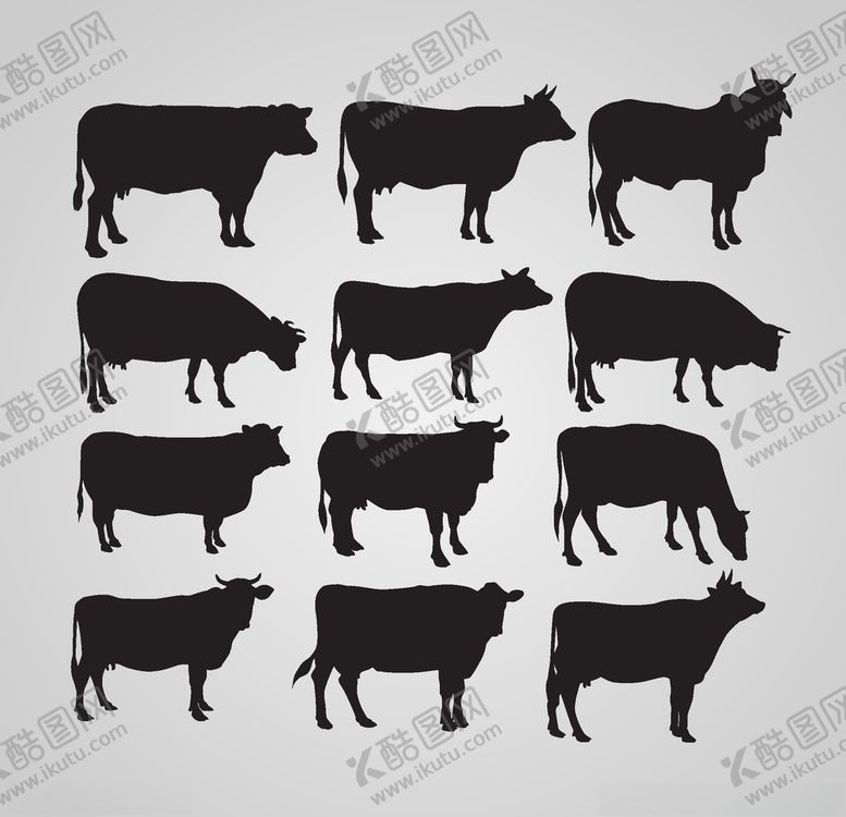 编号：26725409241111241247【酷图网】源文件下载-牛剪影