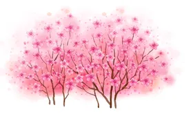 花树