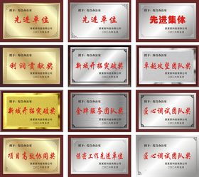公司奖牌