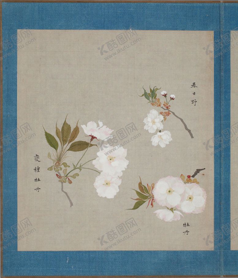 编号：91049503281332227211【酷图网】源文件下载-樱花