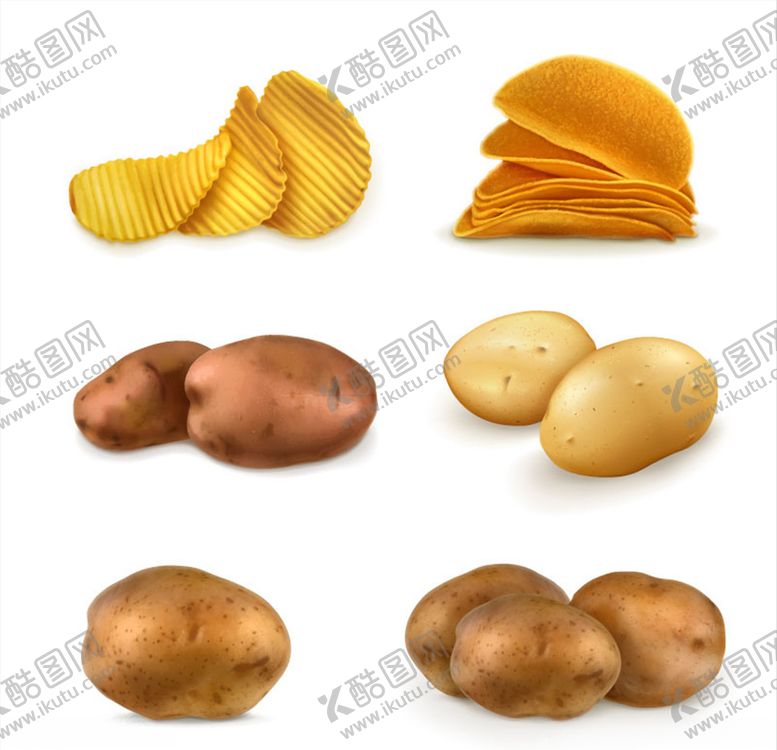 编号：95102810030147543376【酷图网】源文件下载-矢量蔬菜马铃薯