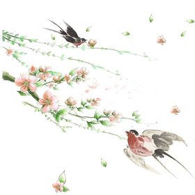 花枝