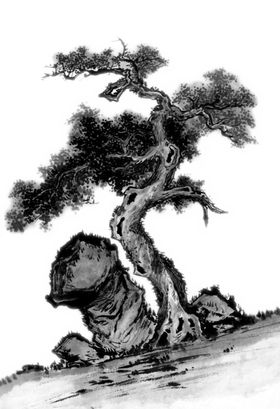 水墨中国风迎客松