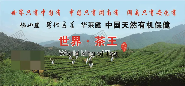 编号：46898506261737573649【酷图网】源文件下载-安化黑茶