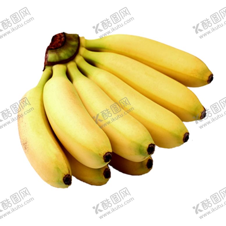 编号：19078801232339324707【酷图网】源文件下载-皇帝蕉