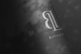 logo样机