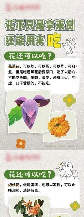 小红书科普图文