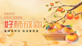 枝头硕果好柿成霜