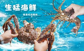 手绘海鲜螃蟹龙虾帝王蟹