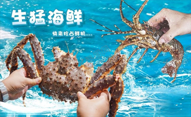 编号：73351109211737345795【酷图网】源文件下载-生猛海鲜帝王蟹龙虾