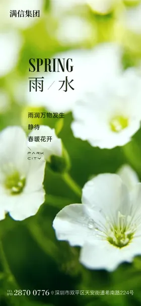 雨水海报绿色氛围二十四节气