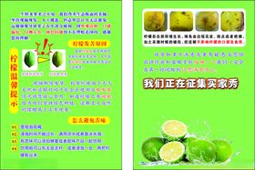 茶叶茶具产品宣传页展示