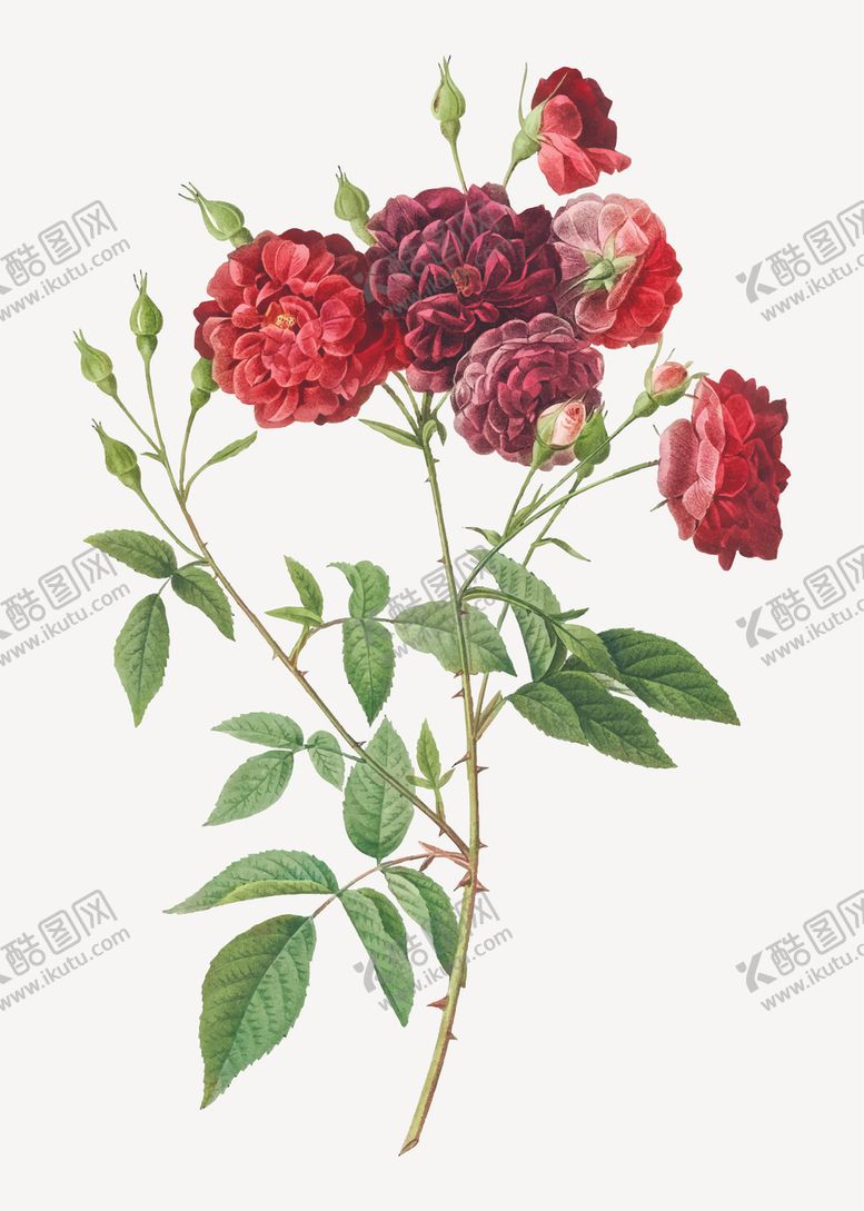 编号：52509707052014061009【酷图网】源文件下载-花纹