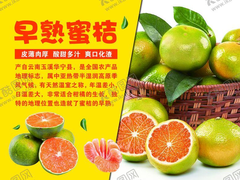 编号：92065709260835494715【酷图网】源文件下载-早熟蜜桔