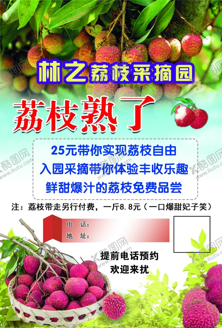 荔枝熟了采摘园水果