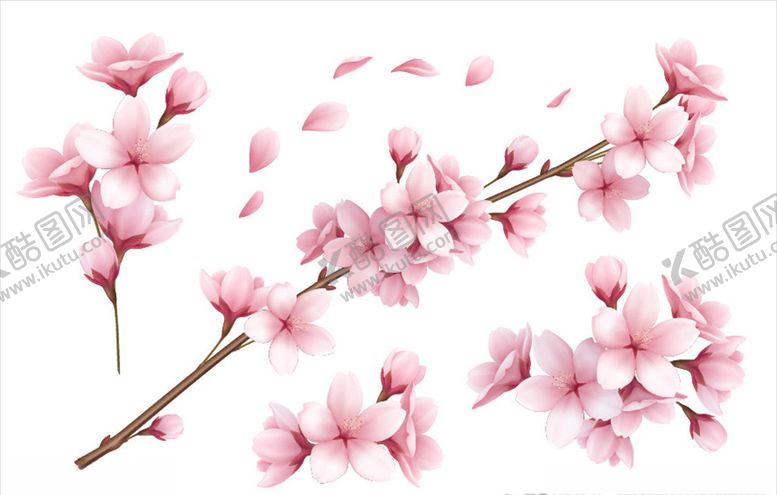 编号：87564911020211401082【酷图网】源文件下载-樱花