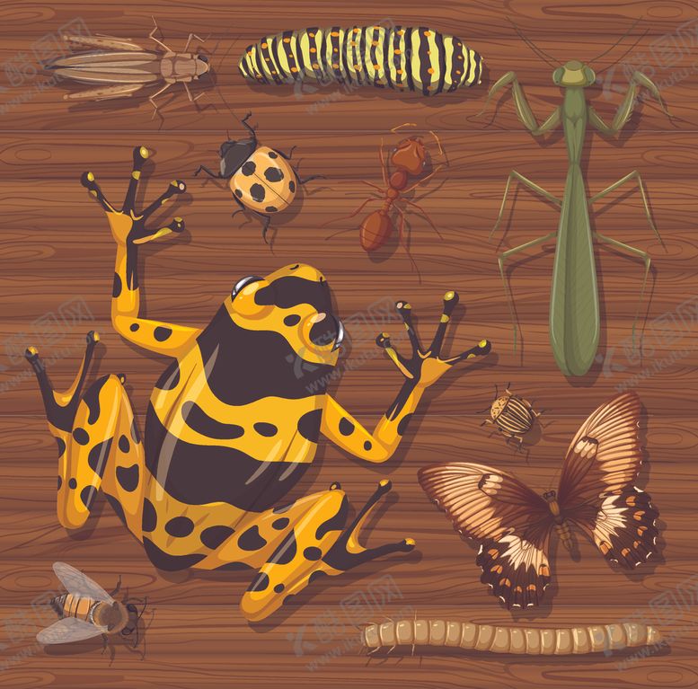 编号：94018306162043542975【酷图网】源文件下载-卡通昆虫