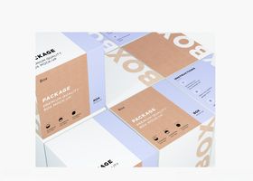 纸盒样机箱样机包装盒样机