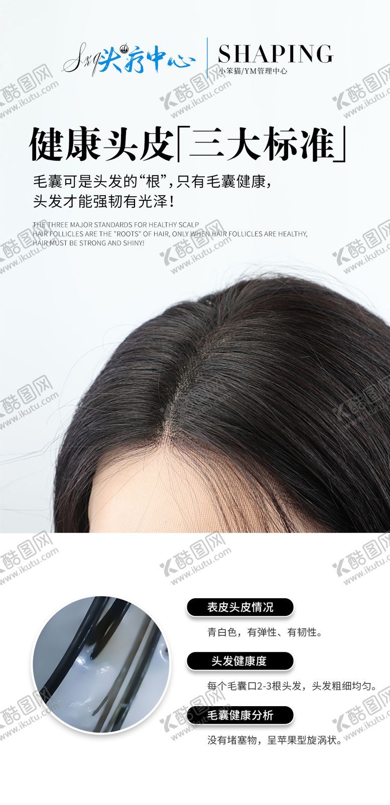 编号：24127312151924187364【酷图网】源文件下载-健康头皮科普海报